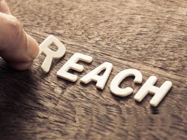 REACH Export Company Q&A