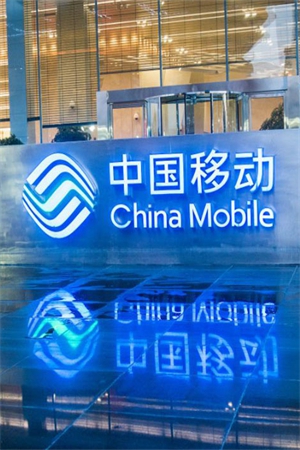How do terminal products enter China Mobile Communications Group Co.,Ltd (CMCC) stock?