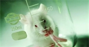 Biocompatible